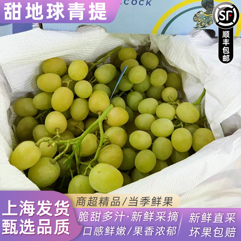 甜地球青提无籽提当季时令新鲜香甜多汁水果提子4斤装顺丰快递