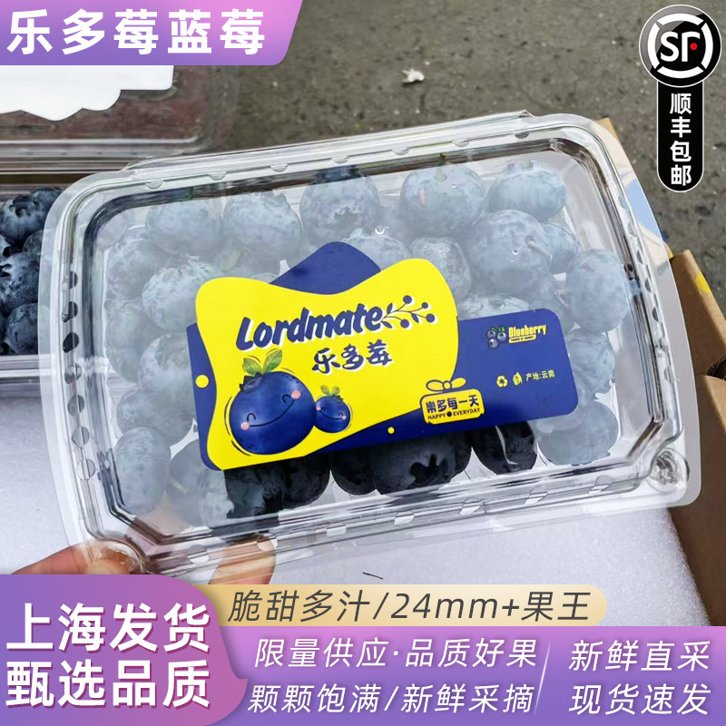 云南乐多莓蓝莓王超大果蓝莓24mm+当季新鲜限量鲜果孕妇水果顺丰