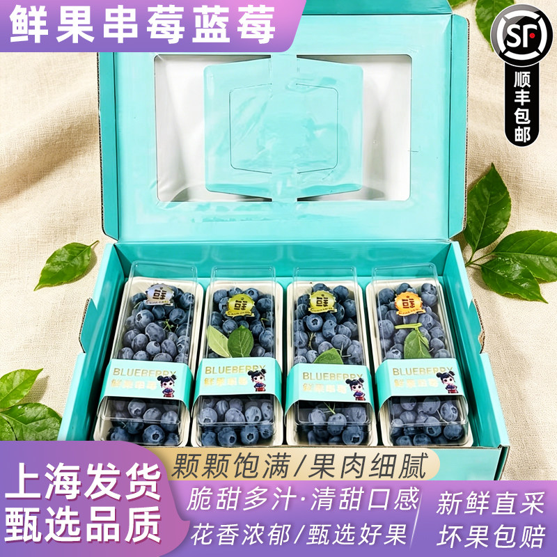 大连鲜果串莓新鲜蓝莓鲜果250g/盒 清甜多汁新鲜带枝蓝莓顺丰包邮