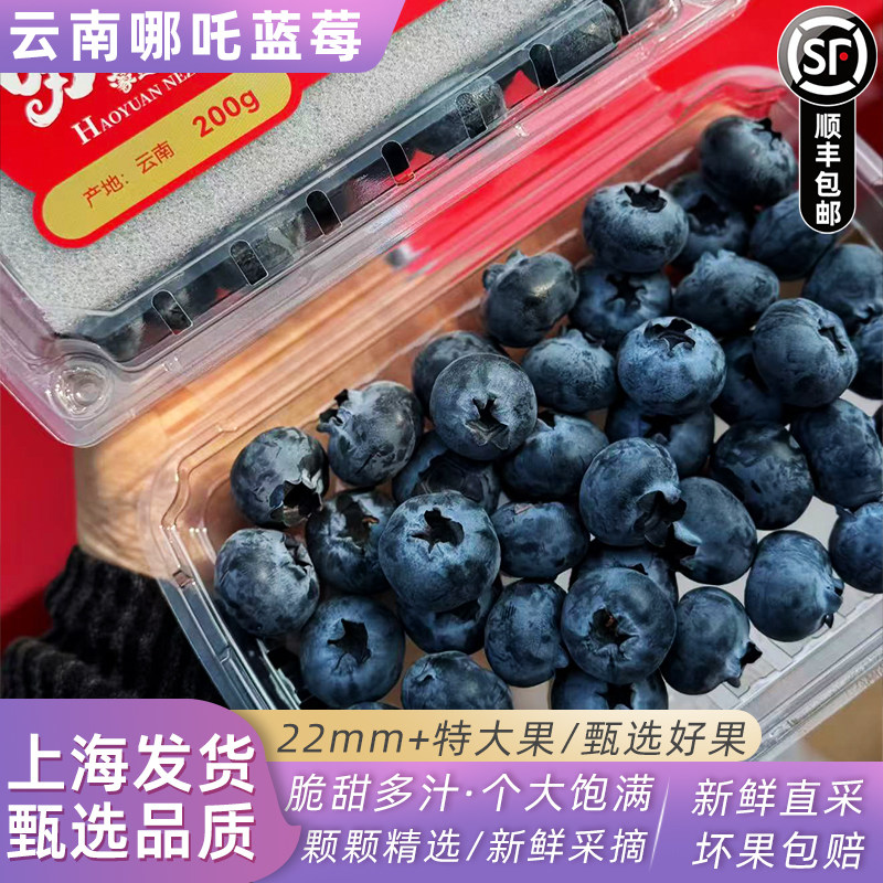 哪吒云南蓝莓鲜果精选大果22mm+当季时令新鲜水果顺丰快递快递