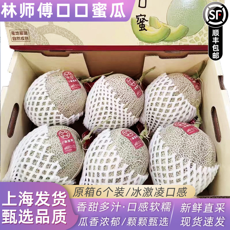 新货正宗林师傅口口蜜瓜6个装糯甜新鲜当季水果海南哈密瓜网纹瓜,水产肉类/新鲜蔬果/熟食,哈密瓜,淘宝优惠券,粉丝福利购,淘宝优惠卷