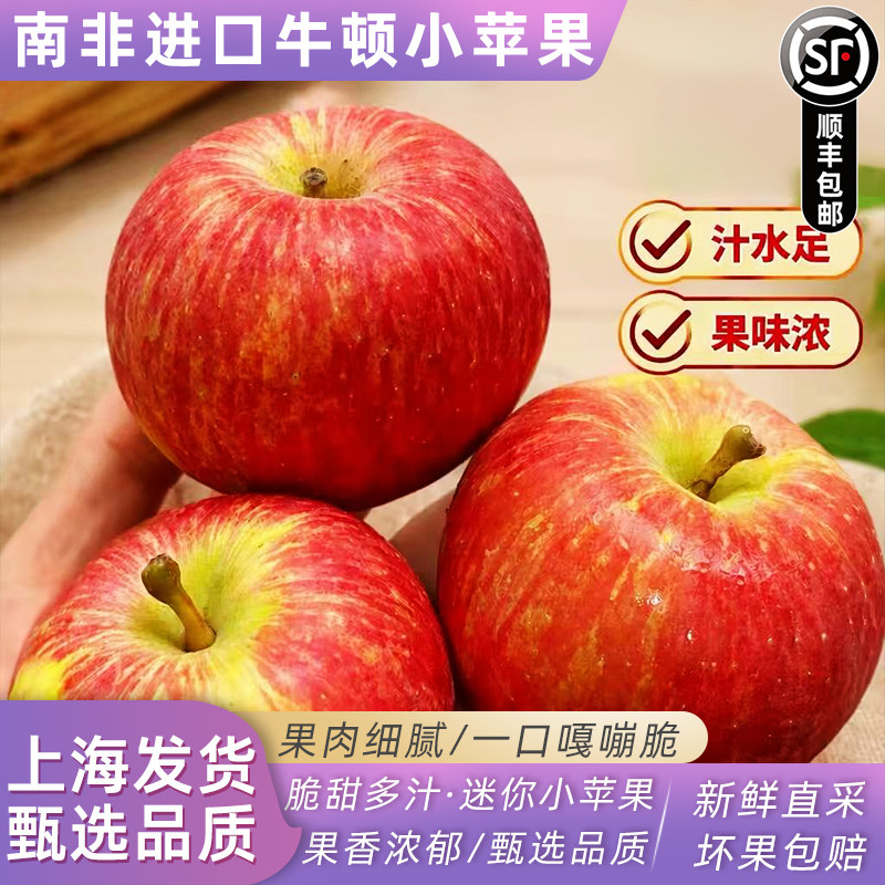 南非牛顿小苹果新鲜水果 脆甜进口加力嘎啦富士迷你冰糖苹果顺丰