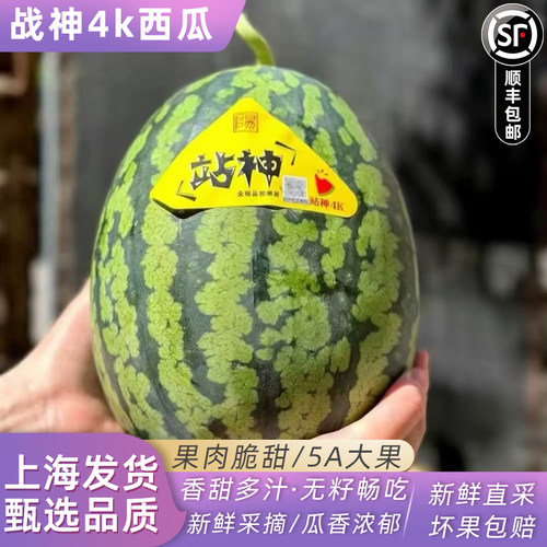 甘美4K站神西瓜战神无籽无核肉质紧实脆甜爽口海南产顺丰快递