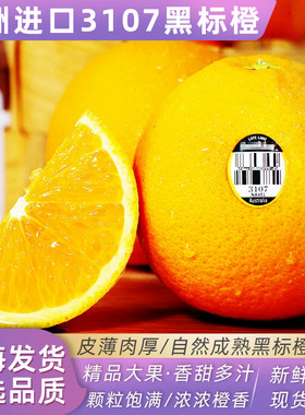 澳洲进口黑标橙3107橙子5斤当季新鲜水果脐橙橙子多汁大果包邮