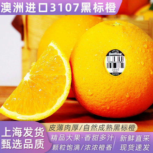 澳洲进口黑标橙3107橙子5斤当季新鲜水果脐橙橙子多汁大果包邮