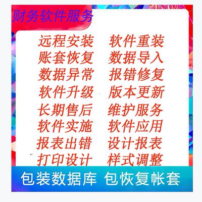 财务软件数据修复迷你标准专业旗舰远程安装故障维护金牌技术服务