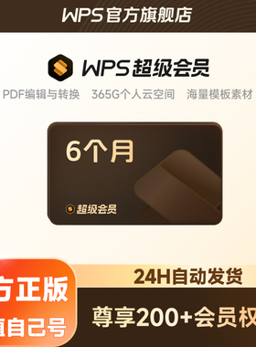 WPS超级会员6个月年终总结模板翻译软件pdf转word文档官方正版