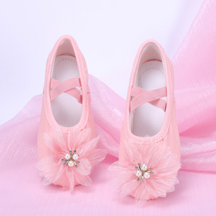 可爱舞台猫爪鞋 女童舞蹈鞋 宝宝跳舞鞋 儿童芭蕾舞鞋 8020 软底练功鞋