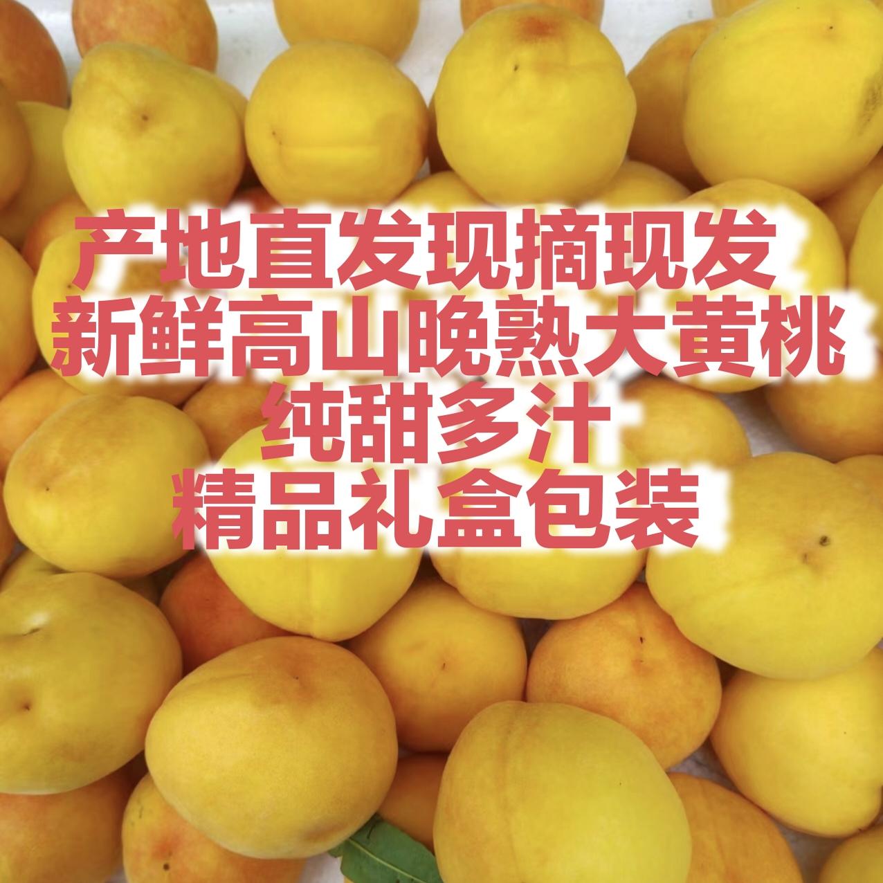 四川雅安宝兴高海拔晚熟黄桃纯甜多汁礼盒装适合孕妇小孩现摘现发