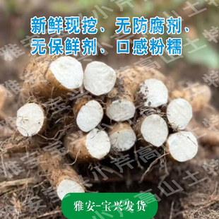 四川雅安宝兴大雪山野生半野生滋补山药孕妇儿童食用现挖新鲜山药
