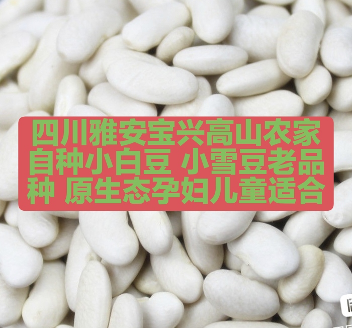 小白豆白芸豆自种孕妇小孩子适合