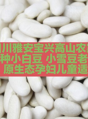 小白豆白芸豆自种孕妇小孩子适合
