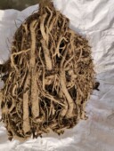 四川雅安宝兴大雪山野生川牛膝无硫磺野生干牛膝1斤 煲汤 包邮