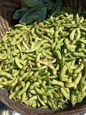 农家自种带壳毛豆现摘新鲜青豆