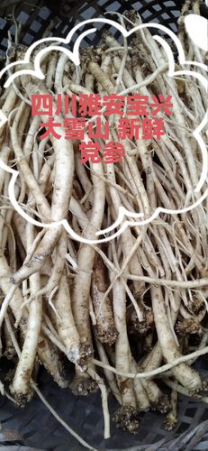 党参煲汤包邮四川党参新鲜