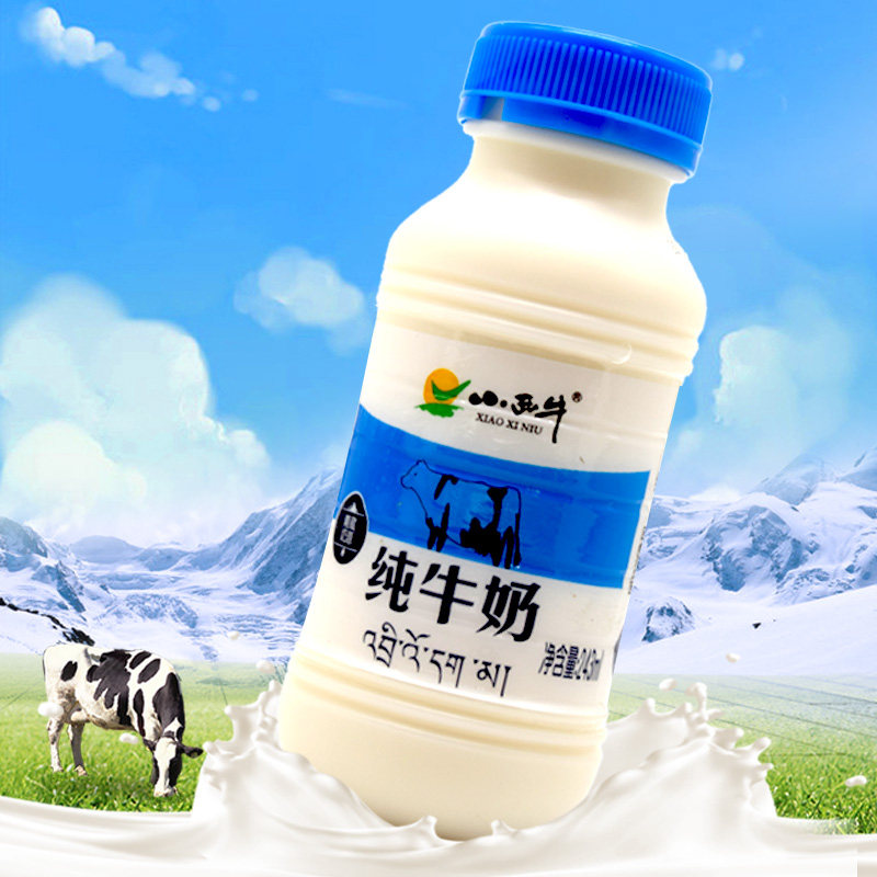 青海小西牛纯牛奶新鲜牛奶高原奶243mlx12瓶老年儿童青藏早餐奶
