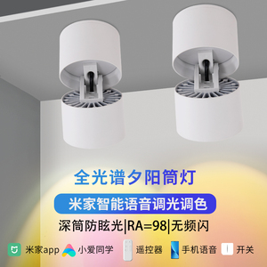 支持小米家智能明装折叠射灯网红夕阳日不落灯入户玄关走廊过道灯