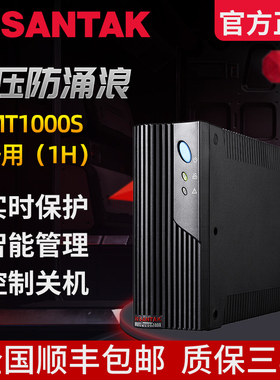 山特UPS不间断电源MT1000S 1KVA/600W延时1小时 含2只12V38AH电池