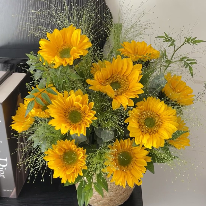 采曼绿心向日葵教师节