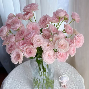 A级仙子之吻多头玫瑰泡泡蔷薇花新品玫瑰鲜切花基地直发顺丰包邮