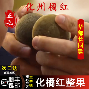 正宗化橘红果官方旗舰店化州平定镇正毛果化喉咙痰多泡茶车内闻香
