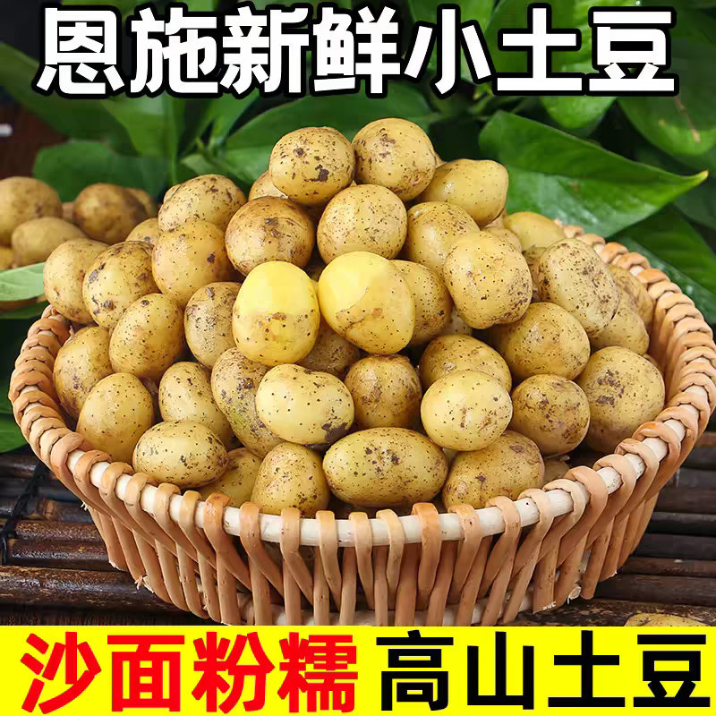 恩施黄心小土豆9斤限时特价