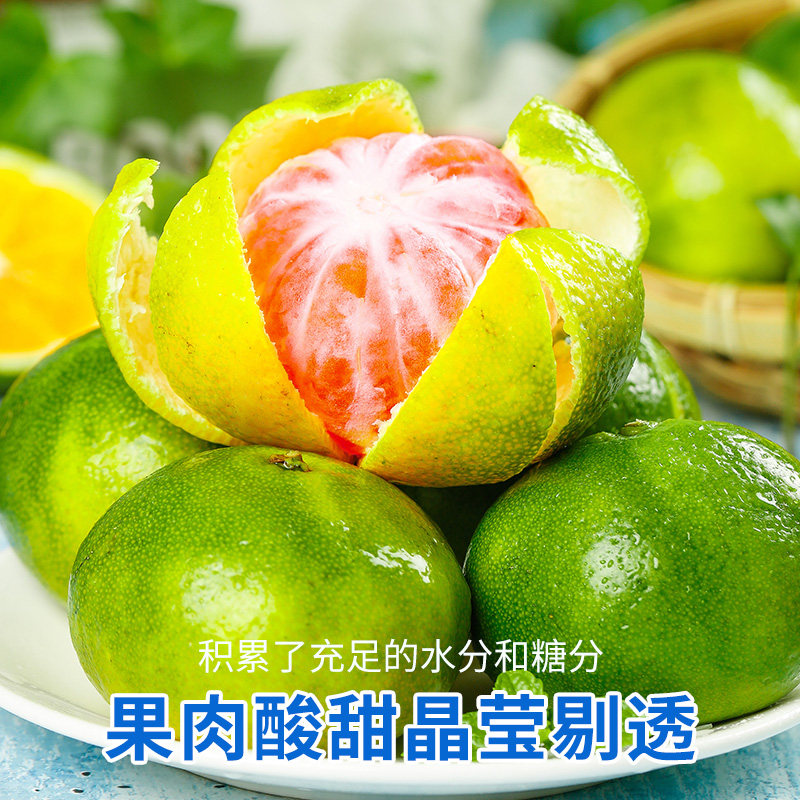 湖北蜜橘现摘现发宜昌蜜桔