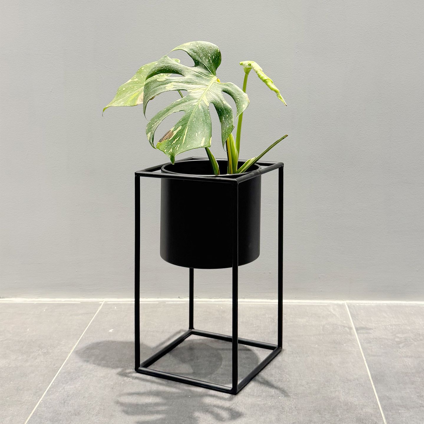 简约铁艺花架室内落地式