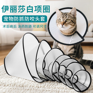 伊丽莎白圈宠物头套猫颈圈猫头套大型小狗防舔防咬打针皮肤病头罩