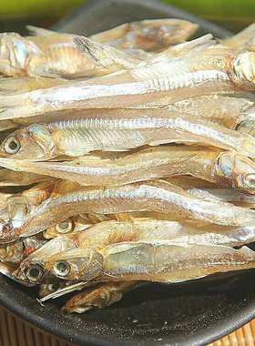 北海特产海捕银鱼仔干500g小干鱼水晶鱼干海鲜干货海燕鱼白帆鱼干