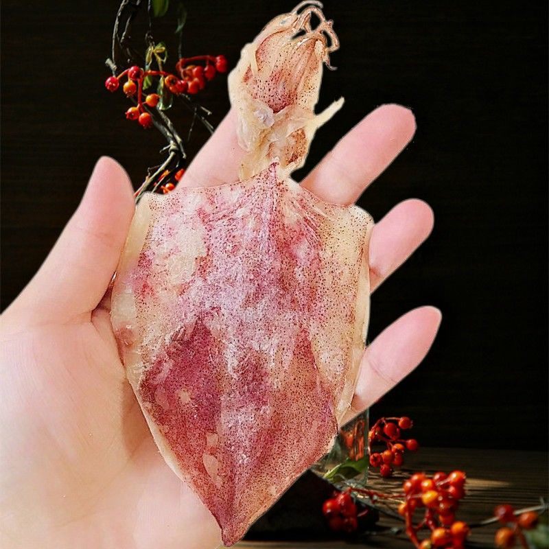 北海烧烤鱿鱼干淡干鱿鱼