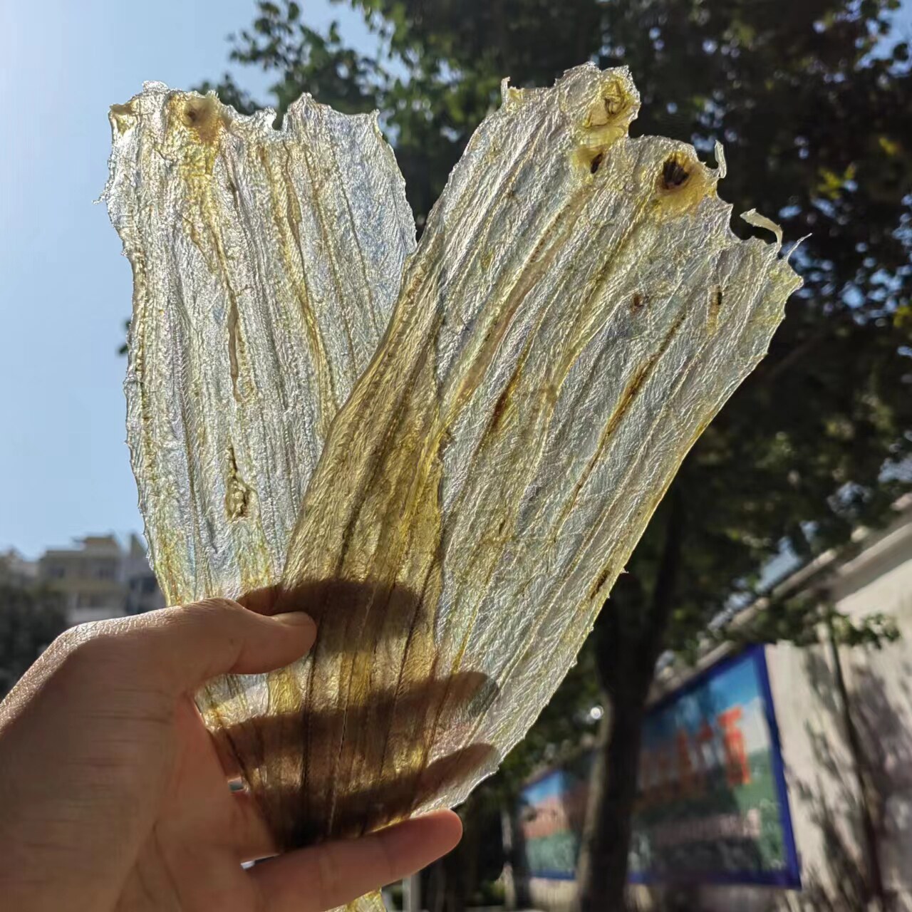 烧烤专用白鳝干无刺无骨鳗鱼干