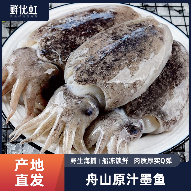 舟山原汁墨鱼仔新鲜鲜活海鲜水产