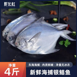 舟山银鲳鱼特大新鲜冷冻东海野生海捕白鲳鱼平鱼镜鱼昌鱼国产海鲜