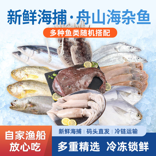 鲜优虹鲜活冷冻海杂鱼