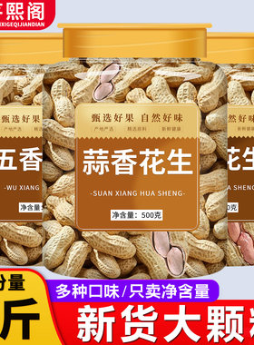 花生炒货带壳多味新货大颗粒
