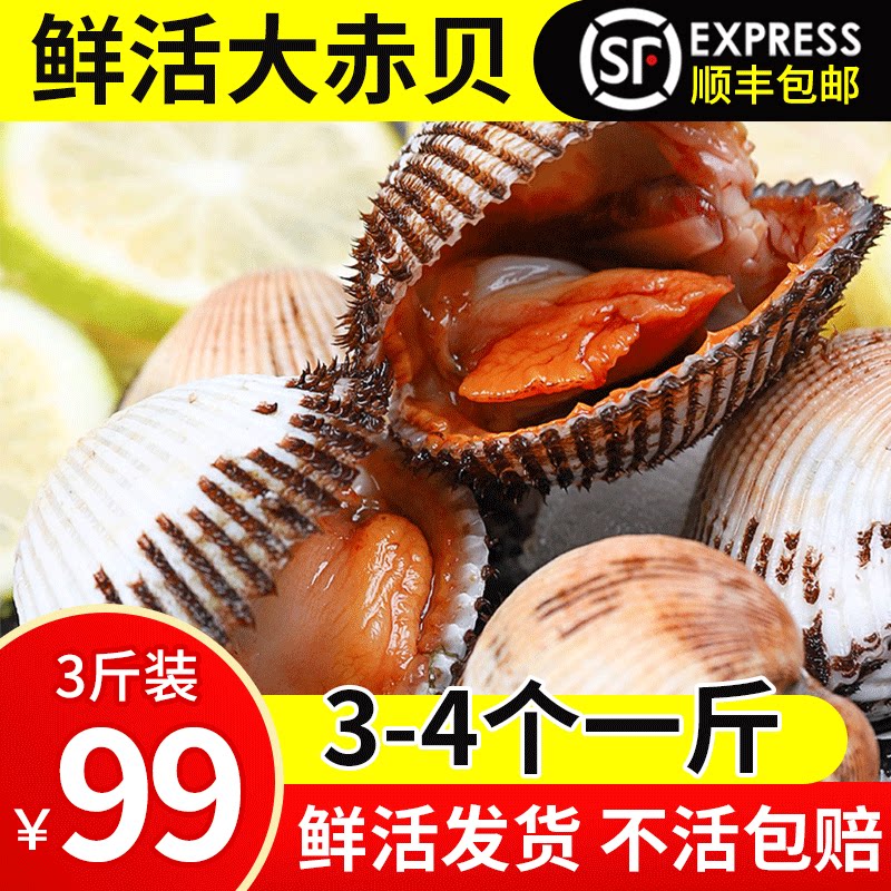 鲜活大刺超大肉血蛤蜊毛蛤花蛤赤贝 3斤包邮顺丰空运鲜活到家 悦小鲜旗舰店 淘优券