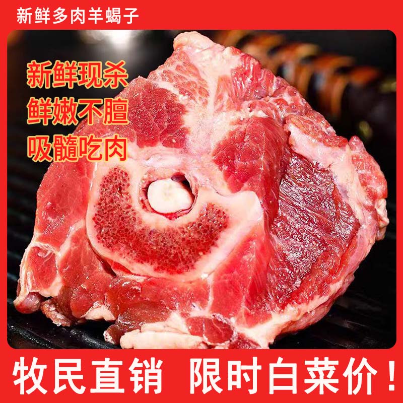 正宗内蒙古新鲜羊蝎子带肉原切羊肉羊脊骨羊骨头火锅食材羊肉新鲜 水产肉类/新鲜蔬果/熟食 羊蝎子预制菜 原图主图