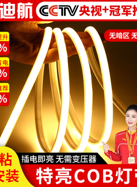 COB灯带自粘led灯条220v防水超亮线形灯槽家用客厅吊顶户外软灯条