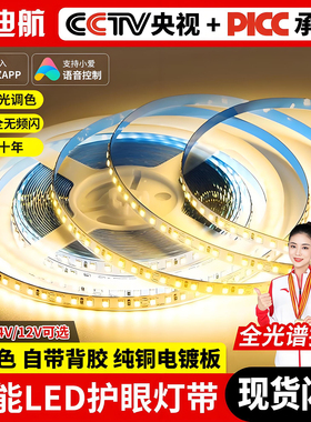 24V低压裸板led灯带自粘贴灯槽20米无压降12V三色软灯条线形光源