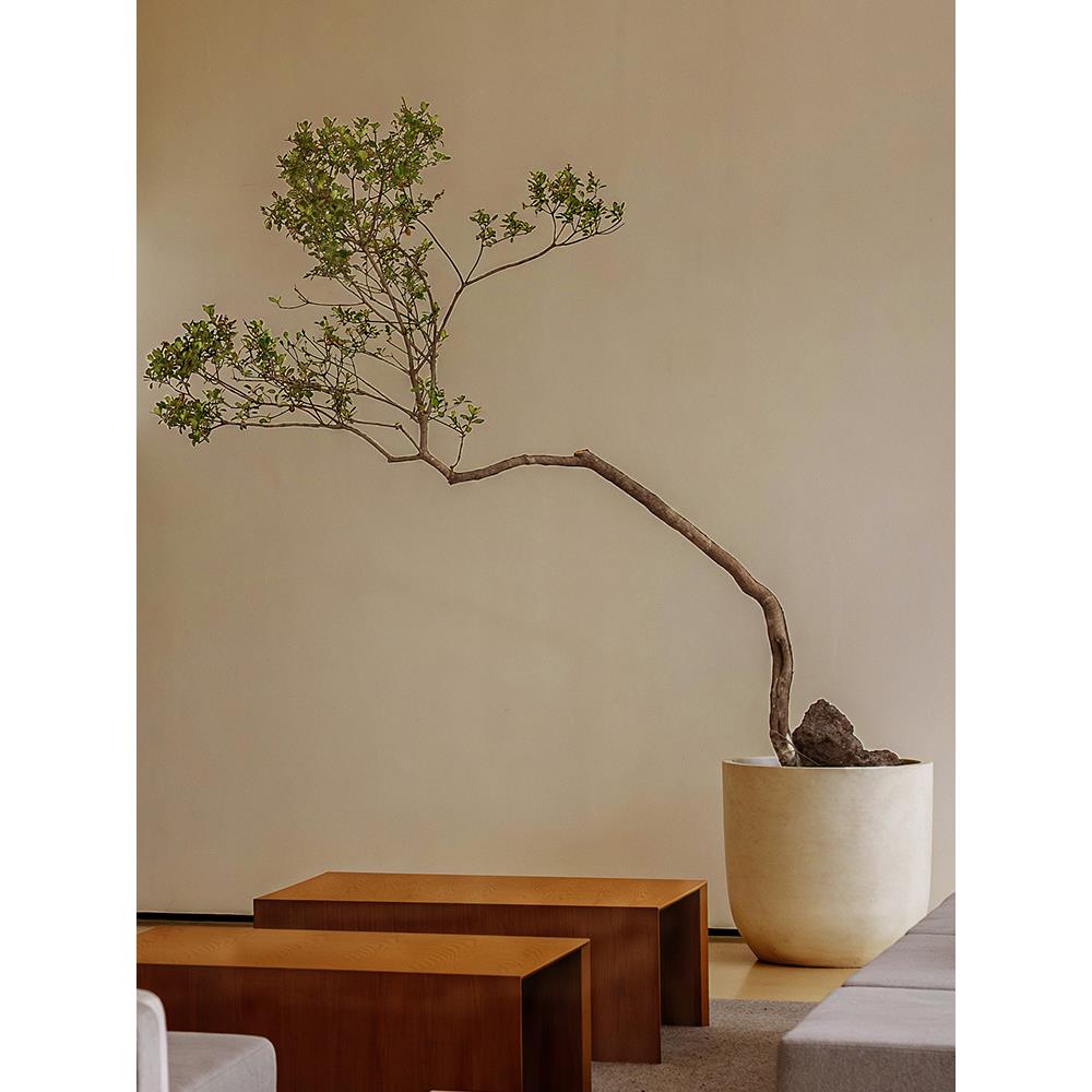 仿真绿植海岛春花盆景室内茶室民宿门店大型假植物落地盆栽摆件