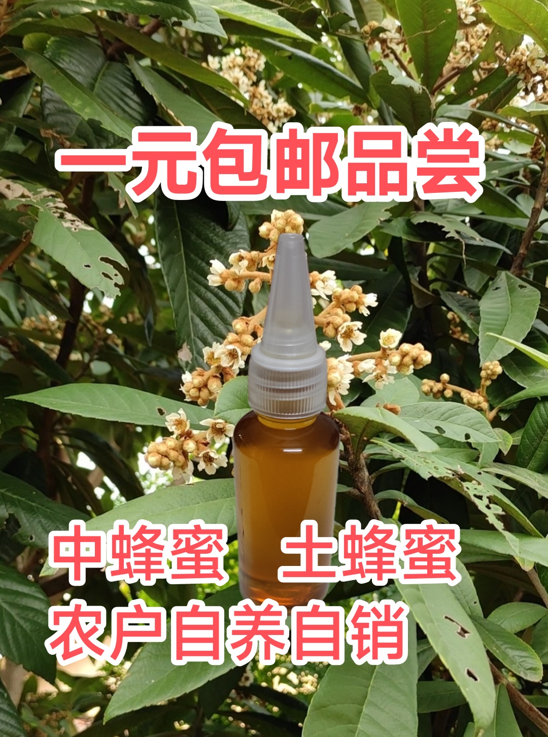 广东冬蜜蜂蜜中蜂蜜土蜂蜜农家蜜百花蜜纯天然便携装