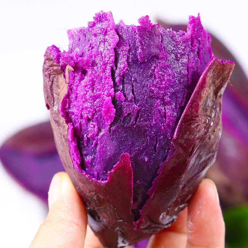 紫薯新鲜农家板栗红薯香薯地瓜糖心蜜薯红沙地薯蔬菜小番薯包邮