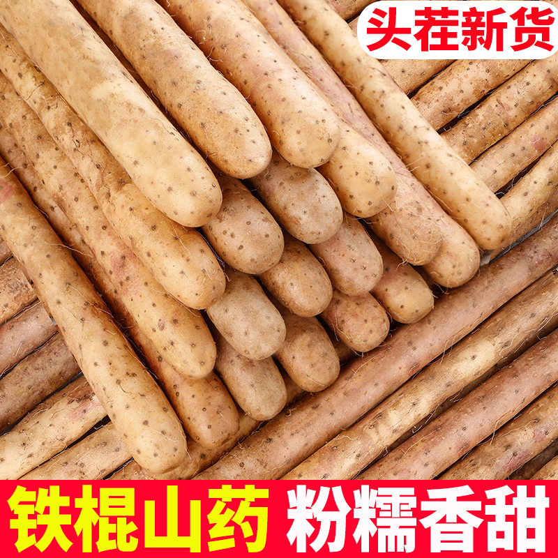 正宗鐵棍山藥新鮮小白嘴山藥5斤鐵桿淮山藥官方旗艦店10蔬菜批發(fā)