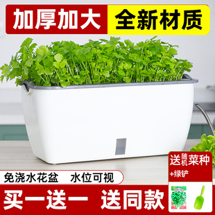 阳台种菜盆家庭蔬菜专用箱自吸水种植盆室内盆栽懒人塑料草莓花盆