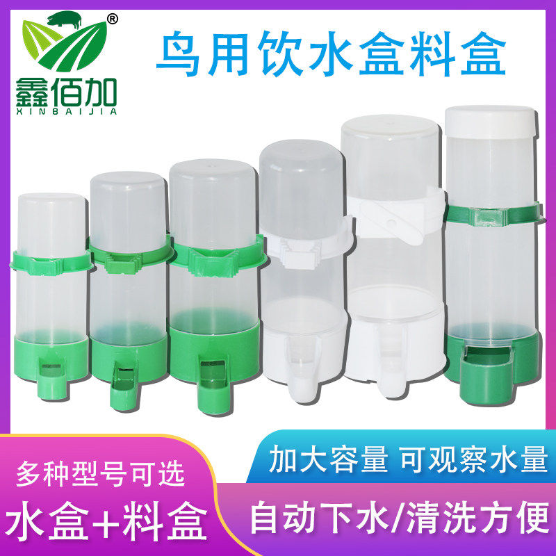 鸟用饮水器鹦鹉自动下料