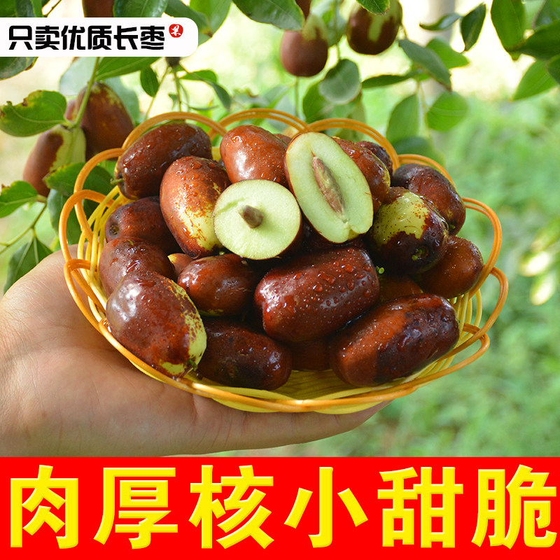 【顺丰】宁夏灵武长枣沙漠鲜枣现摘马牙枣子红枣甜脆爽口特产包邮