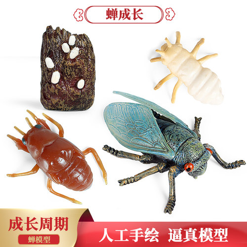 昆虫成长周期仿真动物模型摆件
