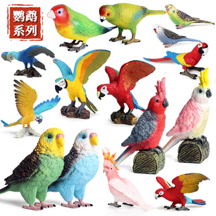仿真鹦鹉动物模型鸟类金刚鹦鹉凤头鹦鹉老鹰秃鹫海鸥摆件儿童玩具