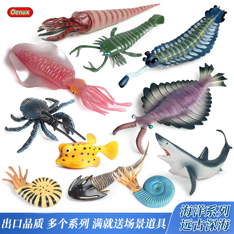 儿童礼物仿真远古海洋生物认知科普摆件模型玩具鹦鹉螺直角石玩具